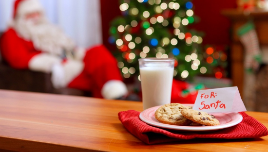 Picture of 12/22 - Cookies for Santa and reindeer food